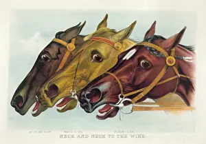American Horse Racing Drucke: Neck and neck to the wire
