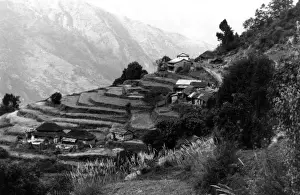Nepali Dhamas