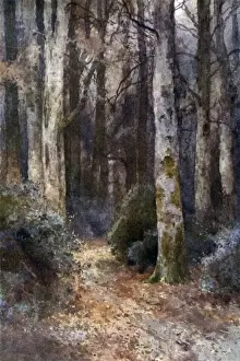 England Scenic Landscapes Drucke: New Forest / Cathedral
