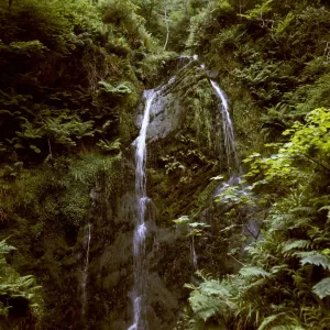 Waterfall In The Woods Drucke: (insert)