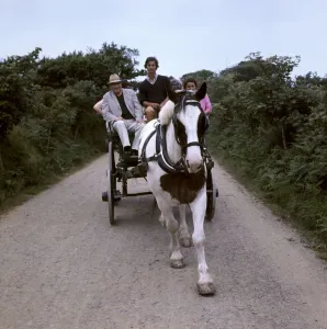Horse Drawn Carts Drucke: (insert)