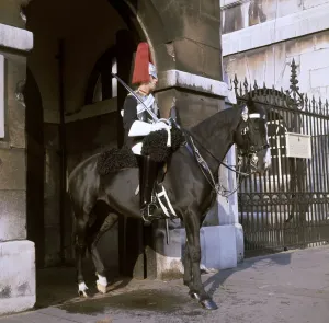 Household Cavalry Mounted Regiment Drucke: (insert)