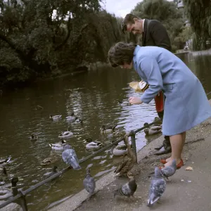 City Park Scene Drucke: (insert)