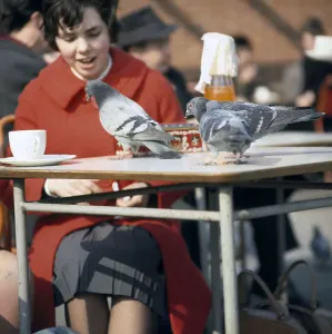 Outdoor Cafe Scene Drucke: (insert)