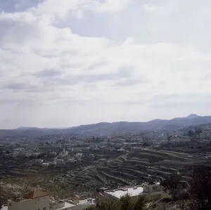 Serene Countryside Scene Drucke: (insert)