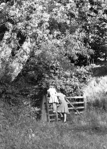 Nostalgic Black And White Pictures Drucke: (insert)