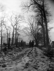 Monochrome Winter Scene Drucke: (insert)