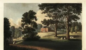 Exeter Drucke: Das Pynes Haus in Exeter im Vereinigten Königreich von Großbritannien und Nordirland