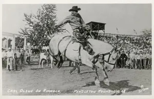 Rodeo – Karl Olsen auf Rimrock – Pendelton Rundup