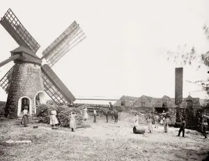 Zuckerverarbeitungsfabrik, Windmühle, Barbodos Inseln im westlichen Indien