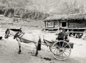 Valders, Norwegen, Pferd und Wagen