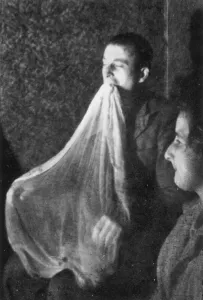 Webber und Ectoplasm