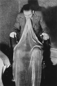 Webber und Ectoplasm