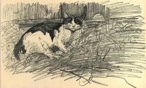 Katze im Garten
