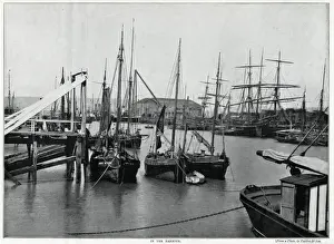 East Sussex Coast Drucke: Newhaven