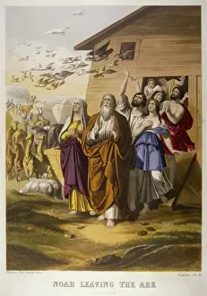 Nach dem Regen geht Noah aus der Arche heraus und betrachtet alles, was sich um ihn herum befindet. Er sieht Vögel in den Wolken und erkennt das Zeichen Gottes, dass er die Landesflut beenden kann. Mit diesem Wissen kehrt er mit seiner Frau und seinen Kindern zur armen Familie zurück