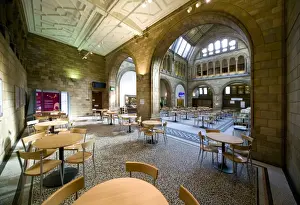 Natural History Museum Interior Drucke: North hall cafeteria