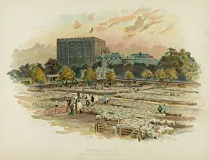 Victorian Era Photography Drucke: Norwich Castle / C1895