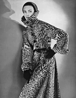 Drucke von Ein Modell posiert in einem Ozelottfellkleid mit einer Aufstandskragenhose, Datum: 1953 Ozelot Drucke: Wildkatzenfell, 1953