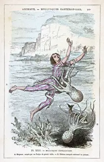 Oktopus Drucke: Oktopus angreift Schwimmer