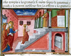 Codex Predis Artwork Drucke: Offering of Mary at the temple. Codex of Predis (1476). Ital
