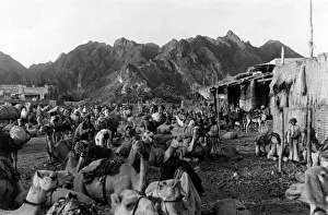 Wohnwagen Drucke: Oman / Matrah