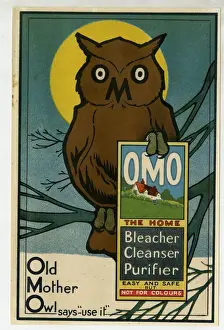 Drucke von Die Omo Seife-Werbungsschüssel - alte Mutter Eule, um 1900 Verwandte Bilder Drucke: Seife von Omo in der Werbung