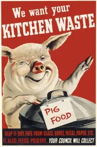 Drucke von Wir möchten Ihr Küchenabfall - Plakataussage zum Sammeln von Lebensresten für den Einsatz als Schweinefutter, der vom Rat gesammelt wird. Es ernährt auch Hühner Küche Drucke: Kriegszeit Schweinefutterplakate
