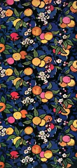 Colourful Nature Photography Drucke: Oranges growing on branch