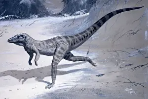 Prehistoric Animal Art Drucke: Ornithosuchus