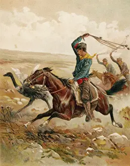 Drucke von Drei Männer verfolgen eine Ente über die Pampen Südamerikas und hofften damit einen mit einem Bola zu fangen – einer Art schwerer Lasso Verwandte Bilder Drucke: Jagd mit Ochsen und Böllern