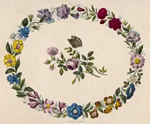 Historical Floral Prints Drucke: Oval Floral Border