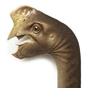 Cretaceous Period Dinosaurs Drucke: Oviraptor