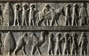 Drucke von Ein Detail der Reliefschmuckung vom Ostrand des Flügels in den Thronsaal im Palast von Dareios dem Großen zeigt einen Anbeter mit Begleitung. Persepolis, Iran. Datum: 6 Persepolis Drucke: Schloss von Dareios, Persepolis