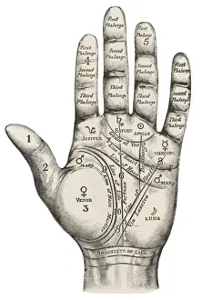 Handpalmkarte