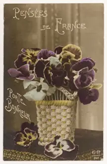Viola Tricolor Drucke: Pansy Postcard