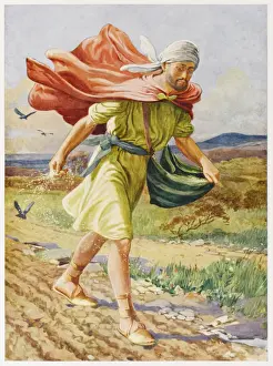 New Testament History Drucke: Parable of the Sower