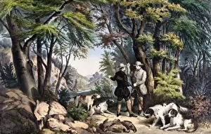 Drucke von Vogelschießen mit Paradiesvögelchen, Männer mit ihren Hunden jagen Paradiesvögelchen. Datum: 1852 Wildvögel Drucke: Vogelfangschuss