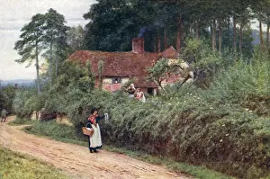 Rural Life In 19th Century Britain Drucke: Pedler in Lane / Allingham