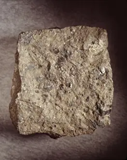 Natural History Museum Specimens Drucke: Pentlandite