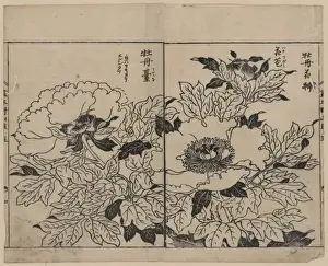 Antique Japanese Woodcuts Drucke: Peony blossoms