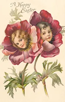 Pflanze der Peonie zeigt ihr Gesicht