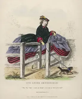 Die Gefahren der Crinoline Nr 4