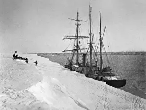 Nimrod Expedition Drucke: Picking up Party
