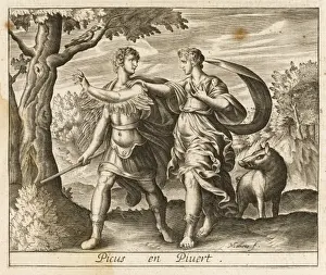 Classical Mythology Drucke: Picus into a Magpie