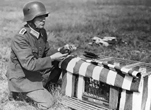 German Soldier Uniform Drucke: Pigeon Post