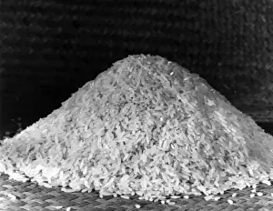 Historical Food Photography Drucke: A Pile of Rice