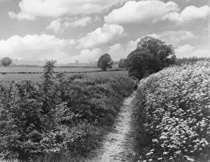Drucke von Der Weg der Heiligen in Nähe von Aylesford im County Kent in England wurde von Pilgern auf ihrem Weg nach Canterbury genutzt; Datum: Die 1950er Jahre Die Kathedrale Von Canterbury, Die Abtei St. Augustinus Und Die Kirche St. Martin. Drucke: Heiliger Weg