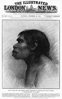 Drucke von Eine Darstellung des frühesten bekannten Bewohners Englands basierend auf den Fragmenten eines Schädel und einer Knochenwurzel, die angeblich in einem Gesteinbett im Piltdown, East Sussex Orang-Utan Drucke: Ludwig-Pilz-Mensch
