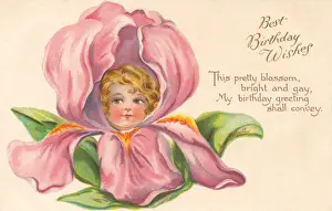 Rotes Blütengesicht (Violetta)